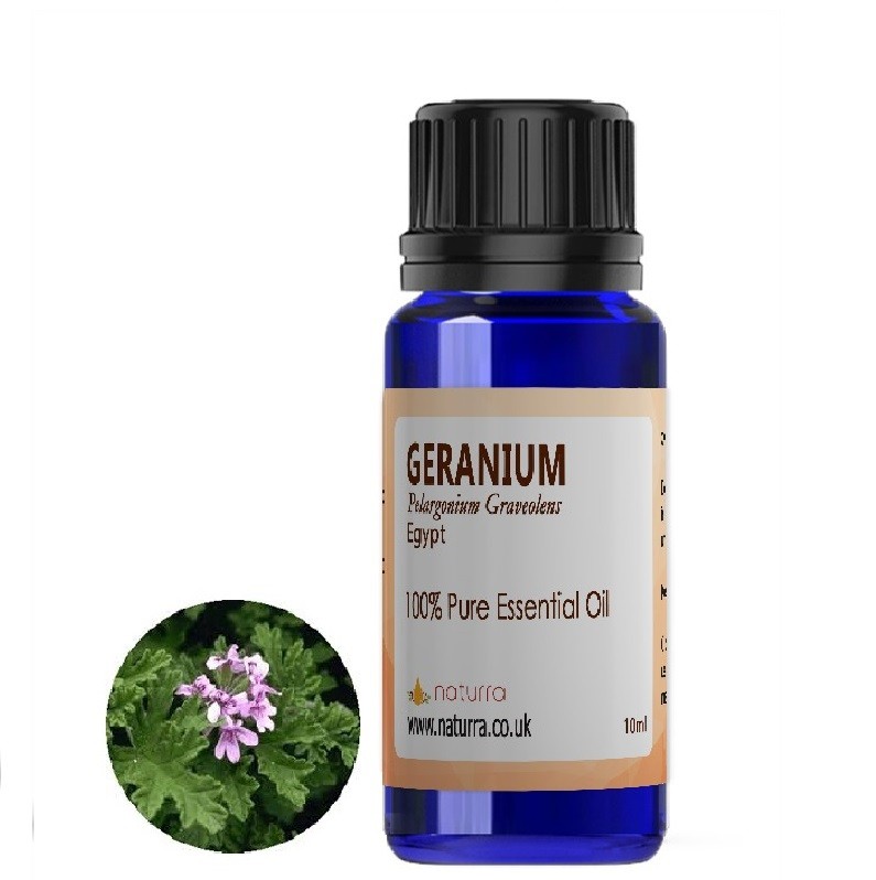 Geranium Essential Oil Naturra