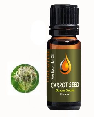 Sandalwood Amyris (Amyris balsamifera)