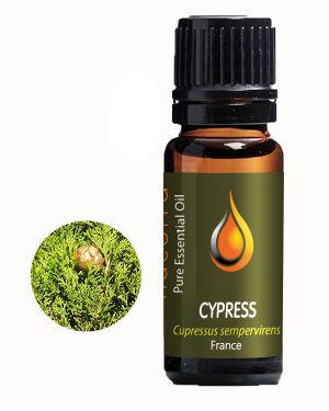 Carrot Seed Essential Oil (Daucus carota)