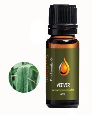 Vanilla Absolute (Vanilla planifolia) 10ml