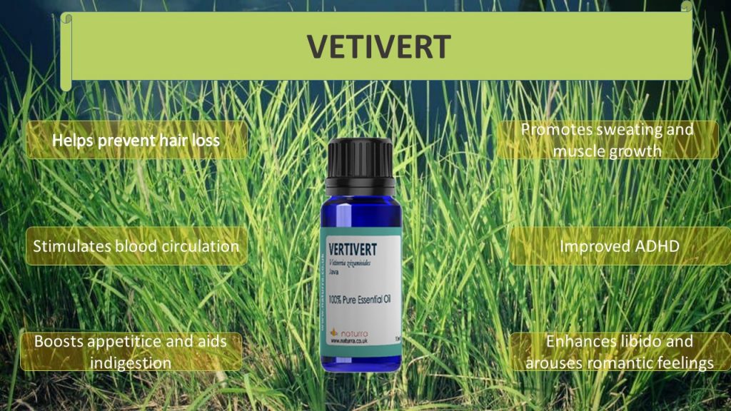 Vetiver - Oil Profile