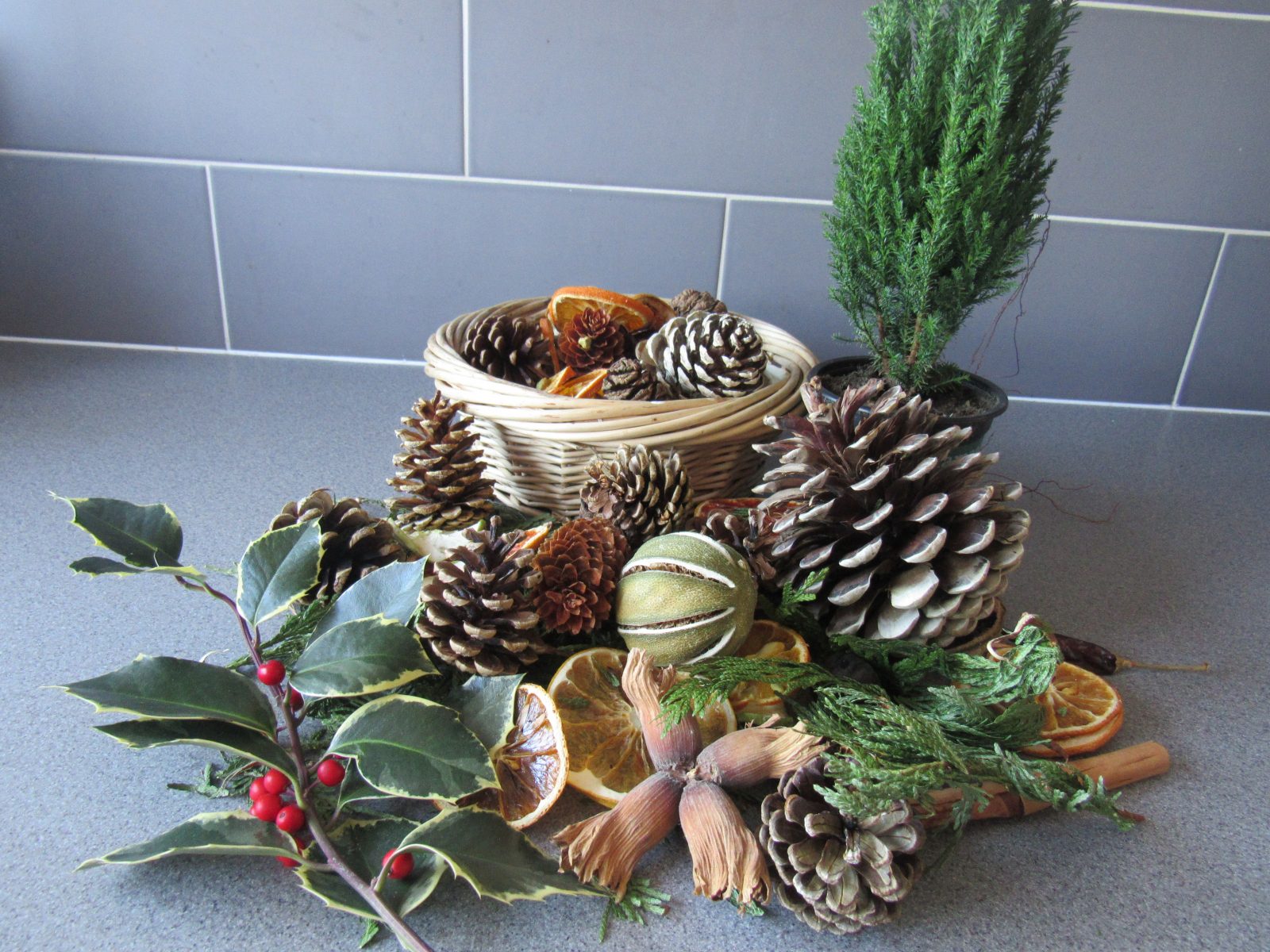 Winter Foliage as Christmas Decorations Naturra