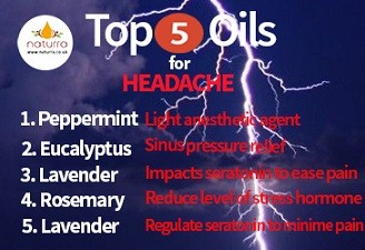 Top Oils for Headaches