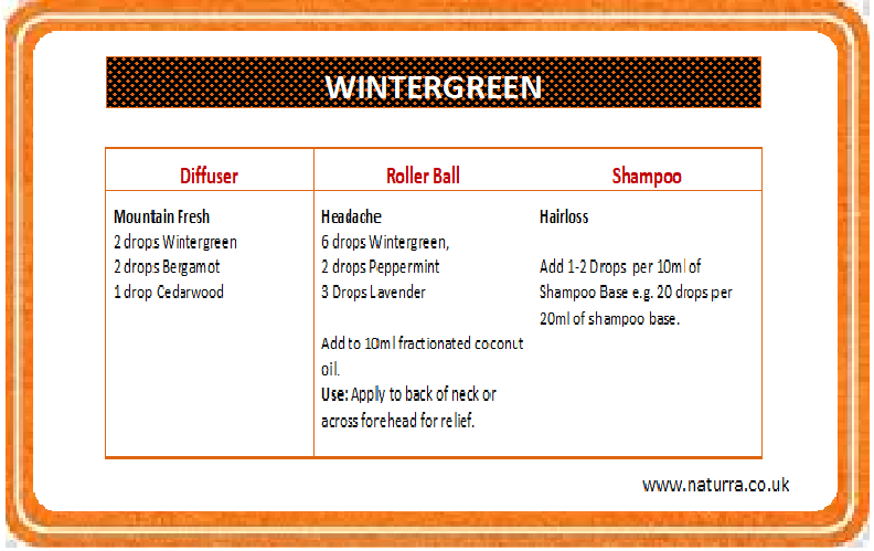 Getting to know Wintergreen Essential OIl