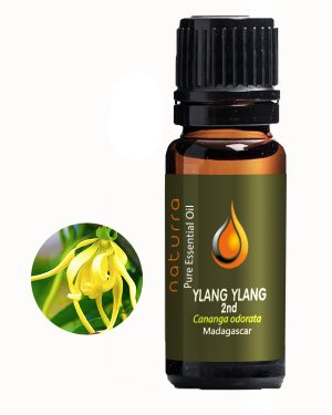 Vanilla Absolute (Vanilla planifolia) 10ml