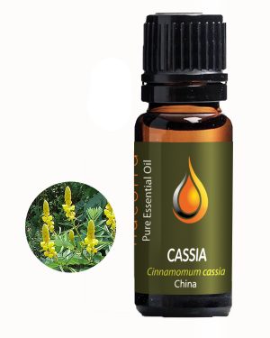 Carrot Seed Essential Oil (Daucus carota)