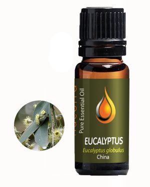 Eucalyptus Pure Essential Oil   (Globulus)