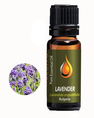 Lavender Organic (Lavendula angustifolia)