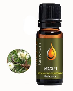 Lavender  Bulgaria (Lavendula angustifolia) Essential Oil